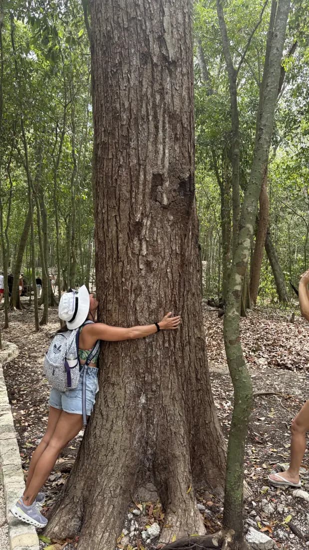 Nature and Maya Jungle at a spiritual retreat in Tulum