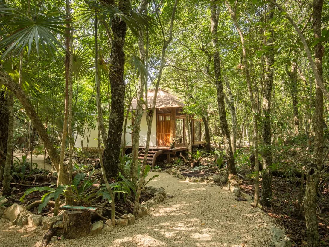 Conscious eco-cabin in the Maya Jungle, Pepem retreat center in Tulum (5)