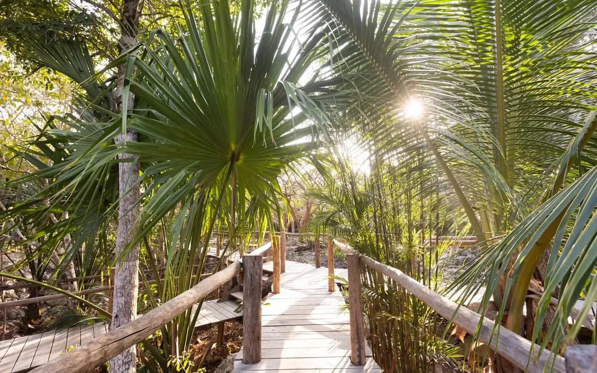 Pepem Holistic Retreats from above, Maya Jungle, Tulum (5)
